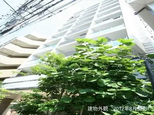 エフシティ亀戸の画像