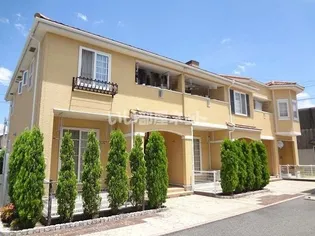 シャン イリーデCの画像