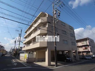 シェマリー香南の画像