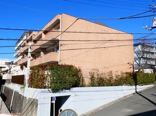 パラシオ藤が丘の画像