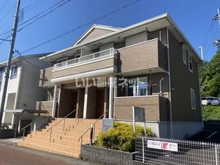 プリムローズの画像