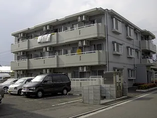 ヴェルドミールの画像