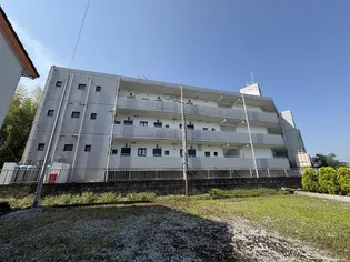 リトルウイングの画像