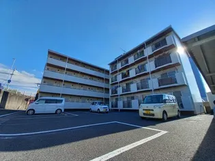ソラリア大在の画像