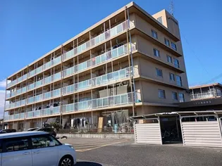 メゾンあおきII【4階】の外観