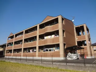 バローゼ5【2階】の外観