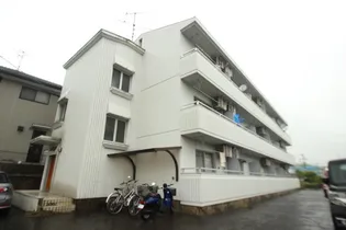 スティングハウス【1階】の外観