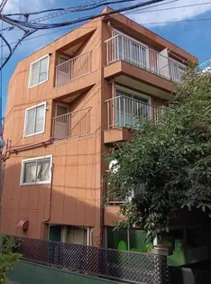 ブラウンスポットの画像