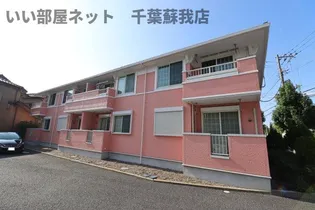 アウリイ ハレの画像