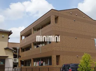 オリエンタルコートの画像