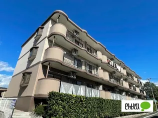 MILLE FIOREの画像