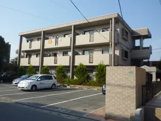 DEARCORTKAWANAMIの画像