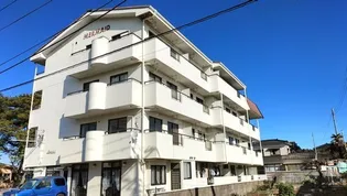マーメイドの画像