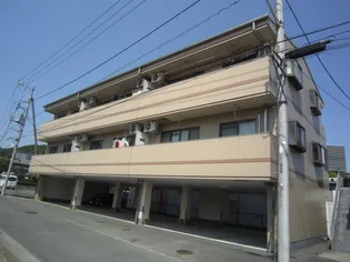 セトハイツDの画像