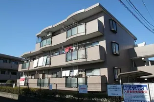 りぶいんしらゆり虹の画像