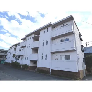 メゾン泰貴の画像