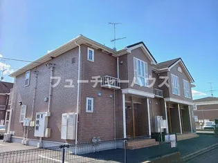 プラシードフィルⅣの画像