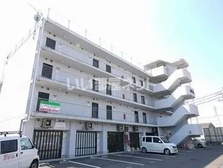 エンゼルの画像