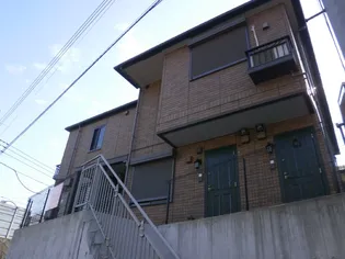 アムールの画像