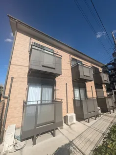 アムールアモーレの画像