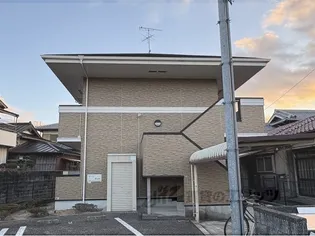 エクセラン1の画像