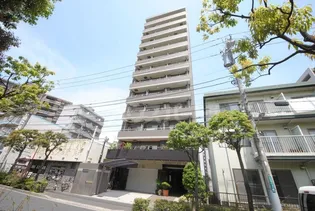 トランスパレントの画像