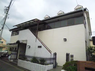 エクセラの画像