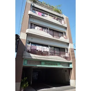 プリマヴェーラの画像