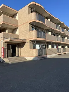 ヴィ エレガントの画像