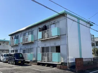 パナハイツモリの画像