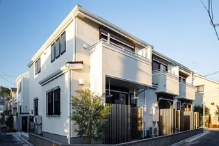 レイブランシスの画像