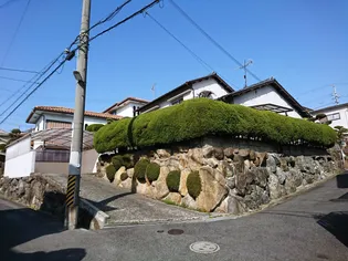 大阪府柏原市旭ケ丘2【一戸建】の外観