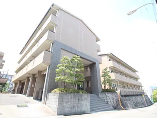 コートイズミの画像