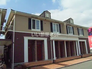 コスモスサンライトBの画像