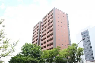 セントラルアヴェニュー下石井【9階】の外観