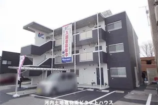 Y&M SAKURA IIの画像