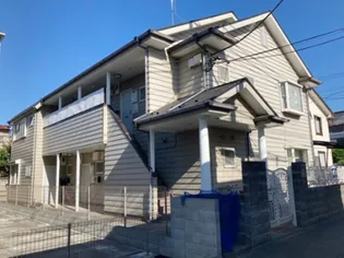 プリムラの画像