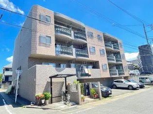 コリーヌ ドゥ ソレイユの画像