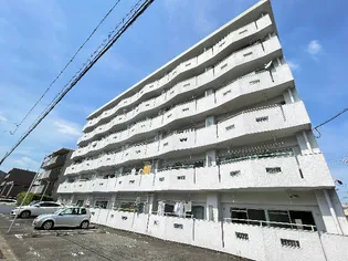 第二若葉ビルの画像