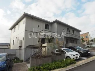 サンフラワーの画像