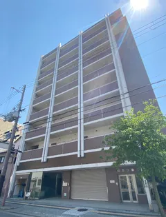 VIVACE G8の画像