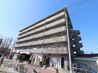 ヴィオラ千里の画像