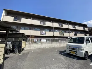ハイレスト白鳳の画像
