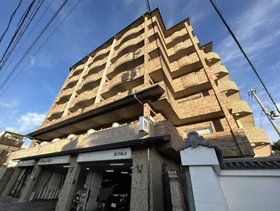 ドルス百万遍の画像
