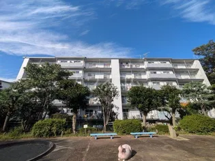 宮前平グリーンハイツ8号棟の画像