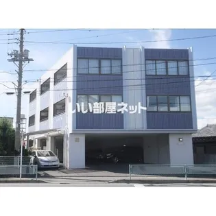 YKゴールデンIIIの画像