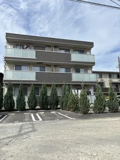 レガーメの画像