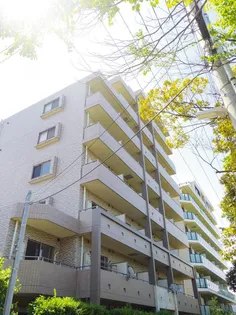 グッド フラットIIIの画像