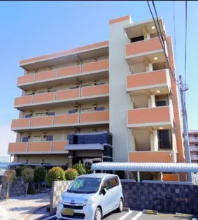 プラシードの画像