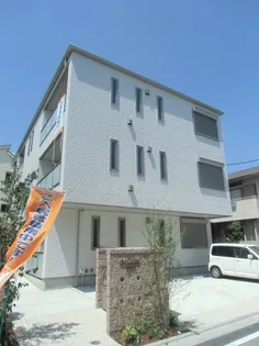 アリスティオの画像